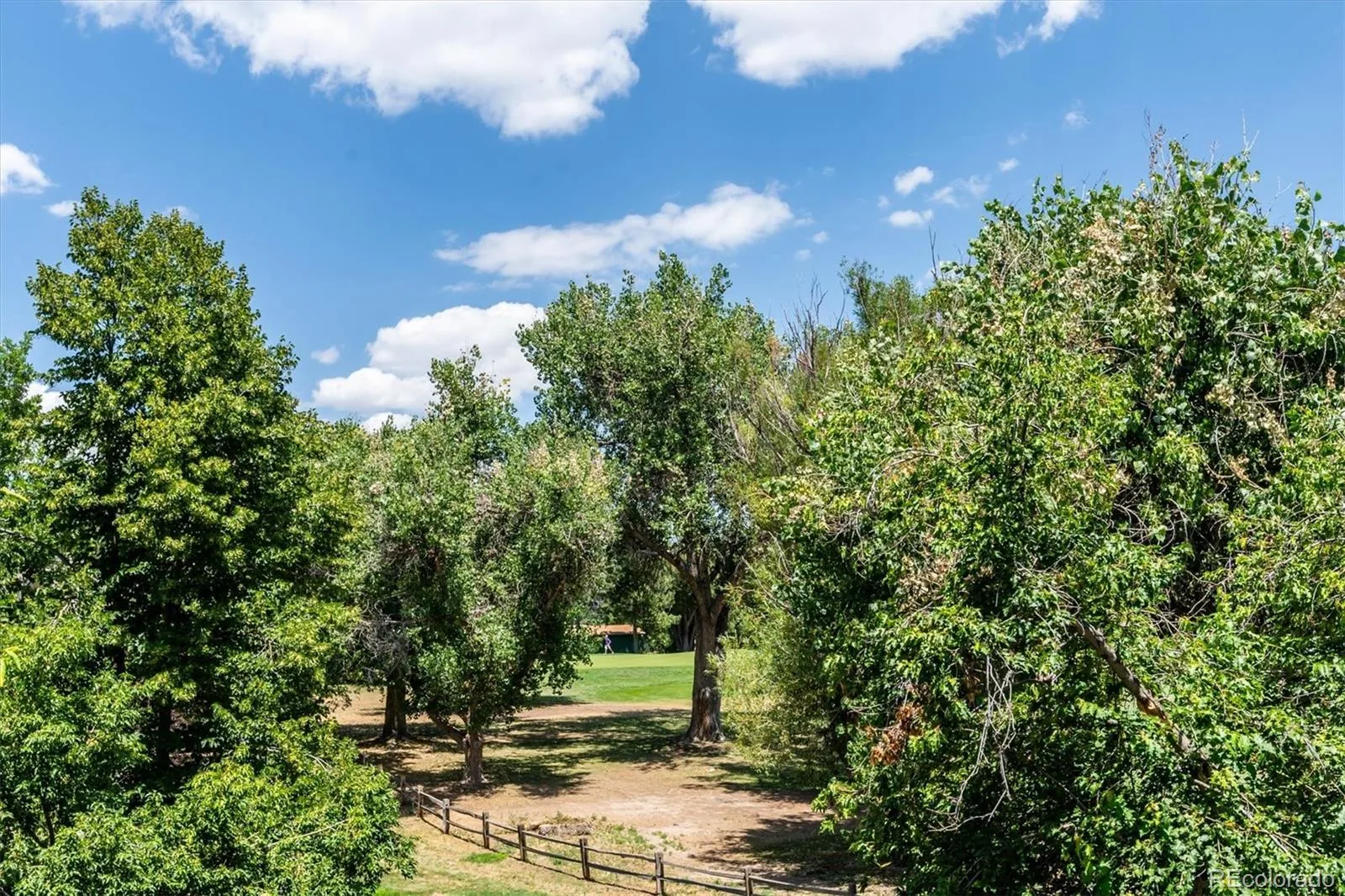 13843 E Lehigh Avenue #B Aurora CO 80014 | MLS #REC2535319 07242026144434 1600 20