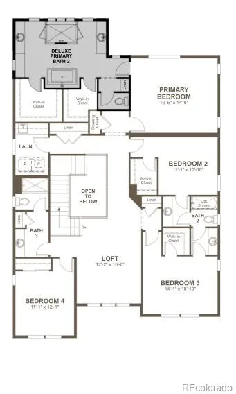 16980 Mighty Eagle Avenue Parker CO 80134 MLS #REC2540393 07072026194155 341 2