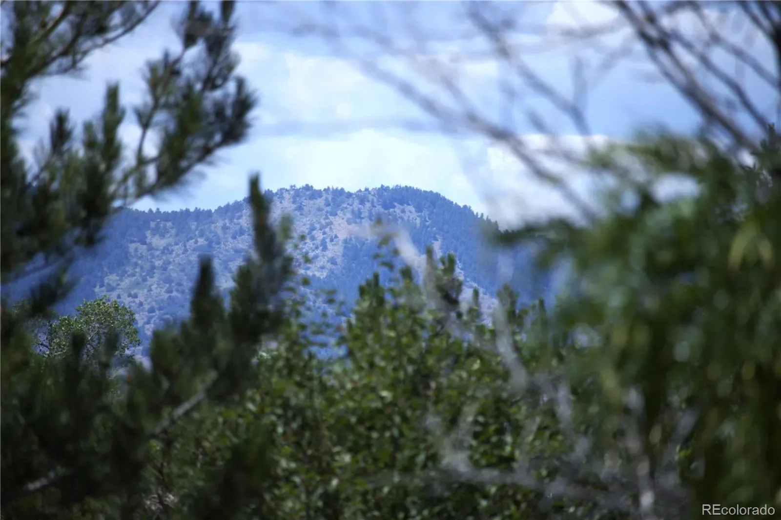 03292026101646 1600 42