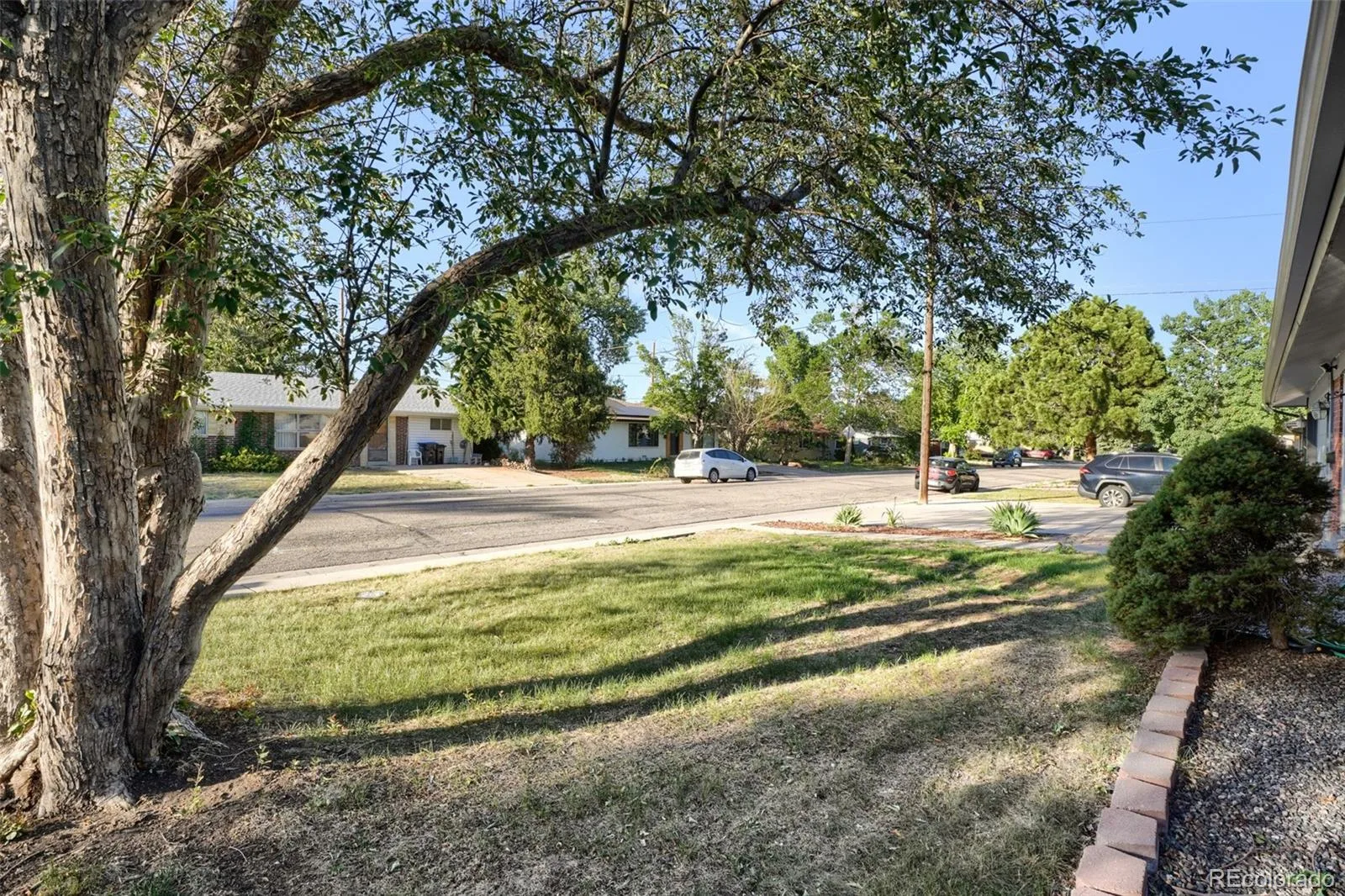 9920 W 54th Avenue Arvada CO 80002 MLS #REC2546973 06212026173851 1600 28