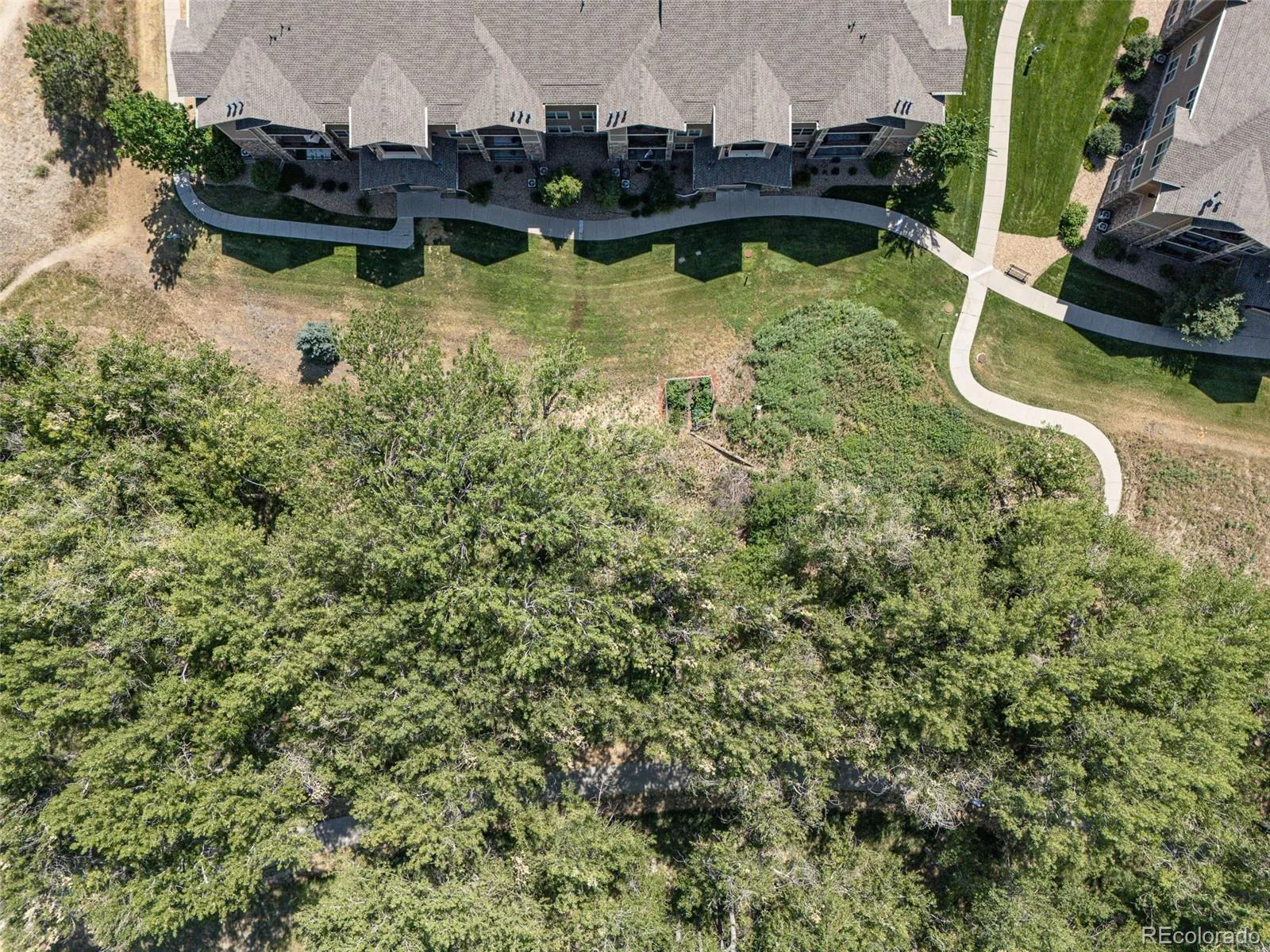 10751 Twenty Mile Road #101 Parker CO 80134 | MLS #REC2548975 07282026131607 1600 34