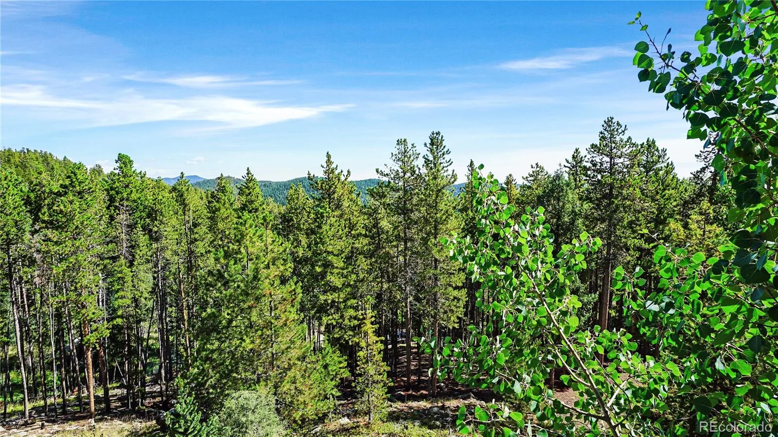 224 Brook Road Evergreen CO 80439 | MLS #REC2557127 07292026175627 1600 1