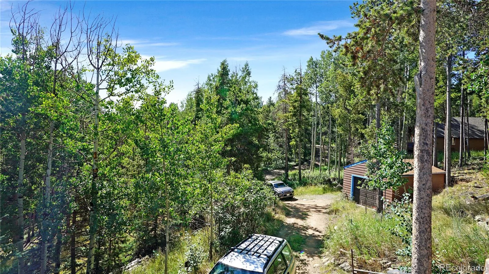224 Brook Road Evergreen CO 80439 | MLS #REC2557127 07292026175627 1600 12