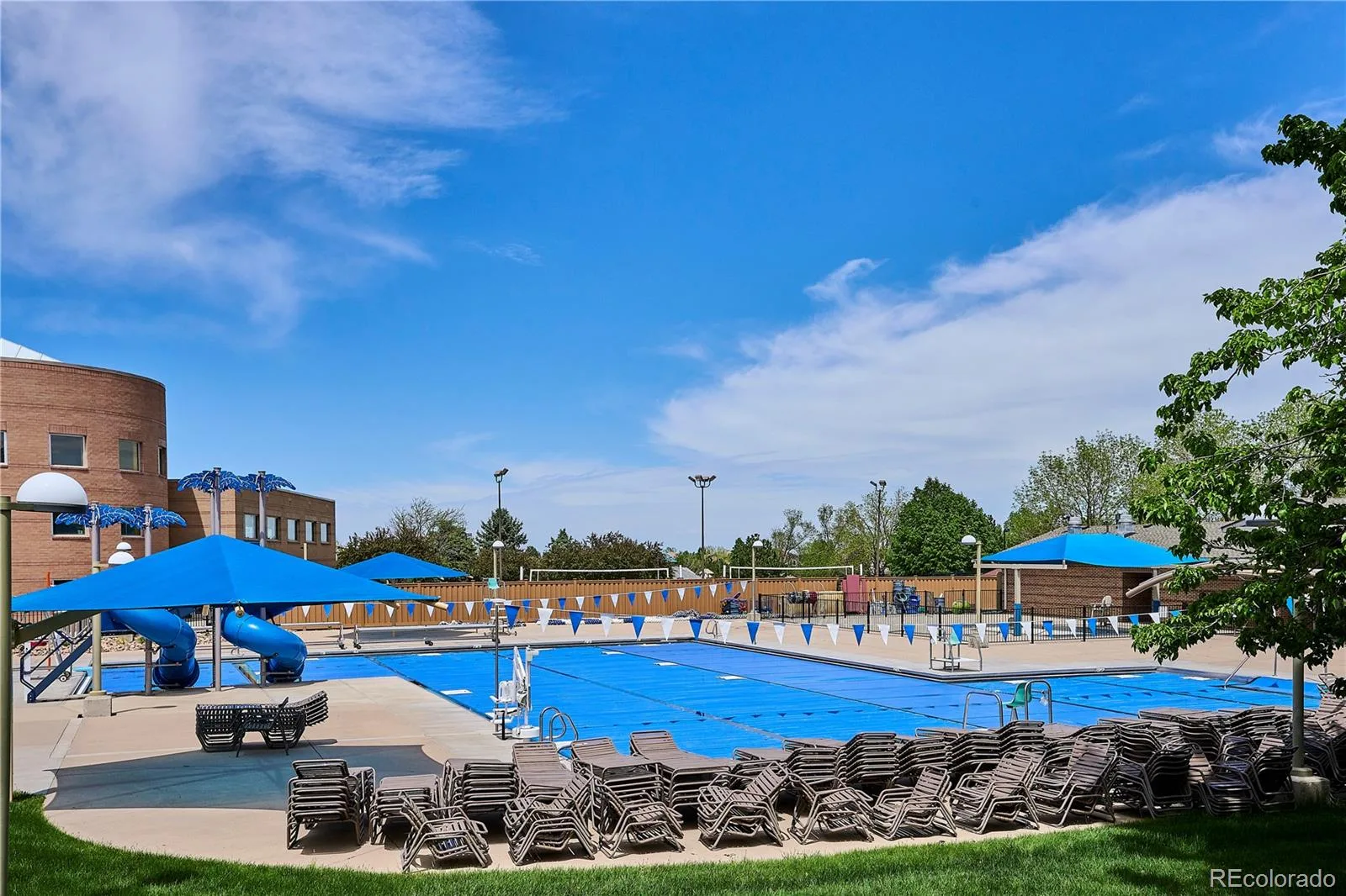 4883 Apollo Bay Drive Highlands Ranch CO 80130 | MLS #REC2558280 08132026060637 1600 44