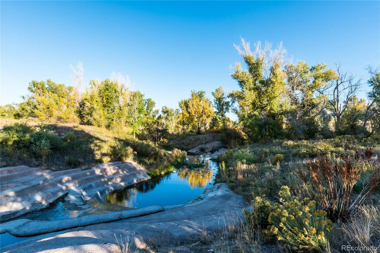 4883 Apollo Bay Drive Highlands Ranch CO 80130 | MLS #REC2558280 08132026060637 1600 46