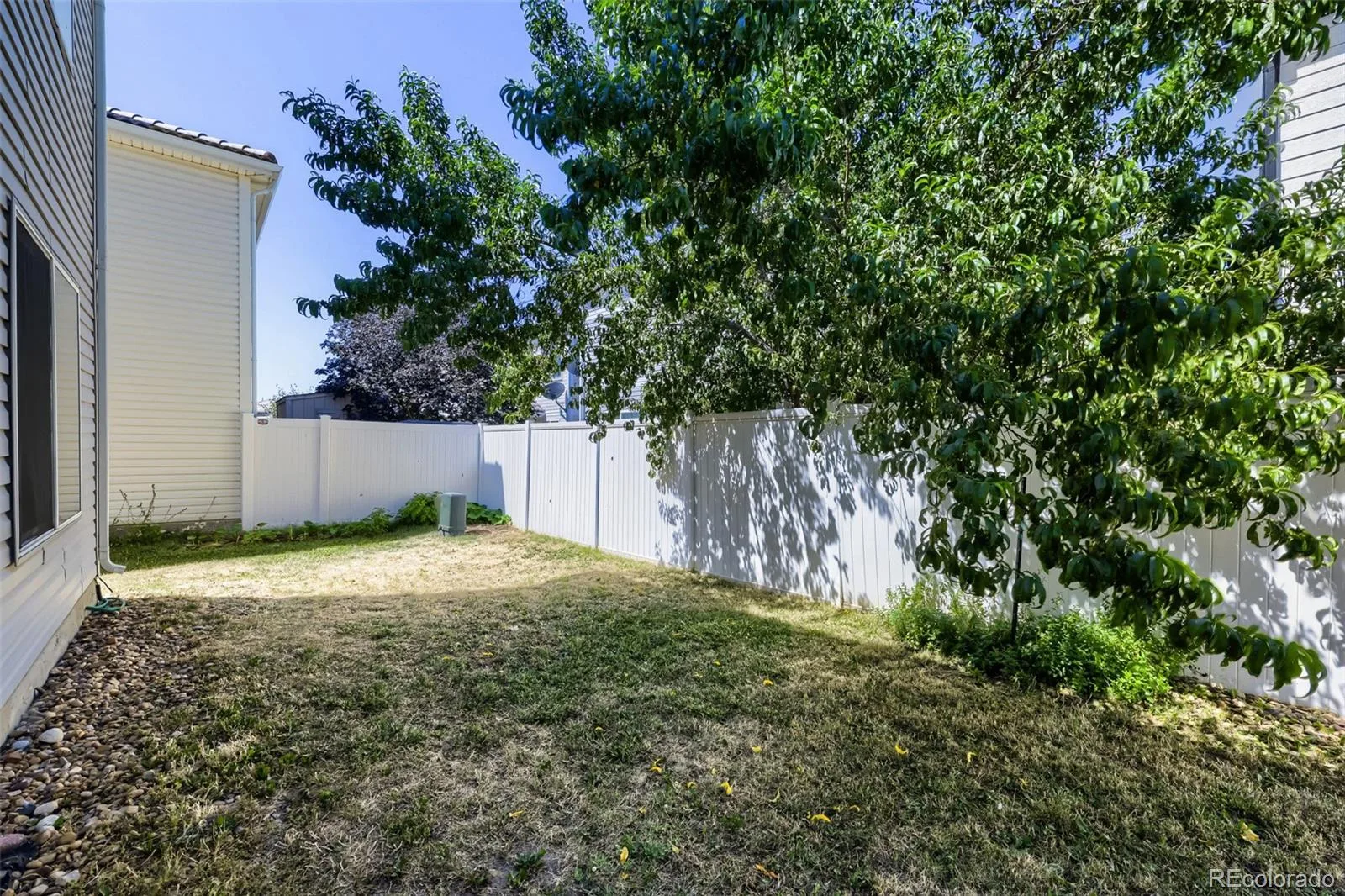 5559 Netherland Street Denver CO 80249 | MLS #REC2565794 07232026202630 1600 19