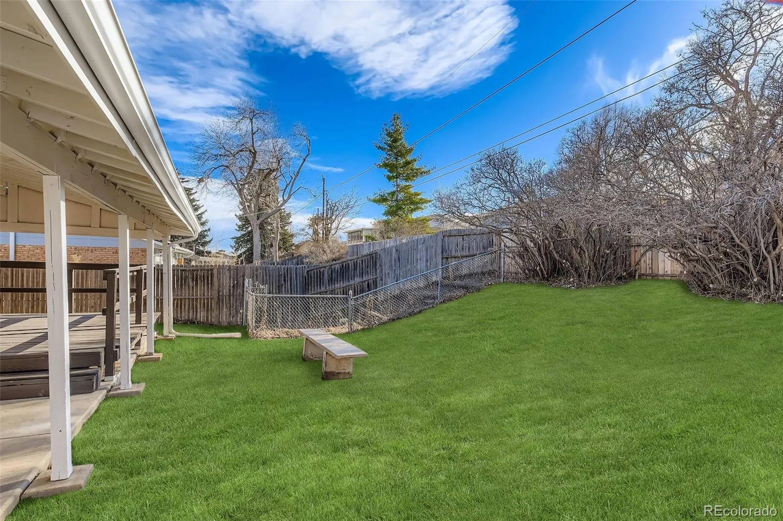 4264 W Radcliff Avenue Denver CO 80236 MLS #REC2569149 05142026230032 1600 33