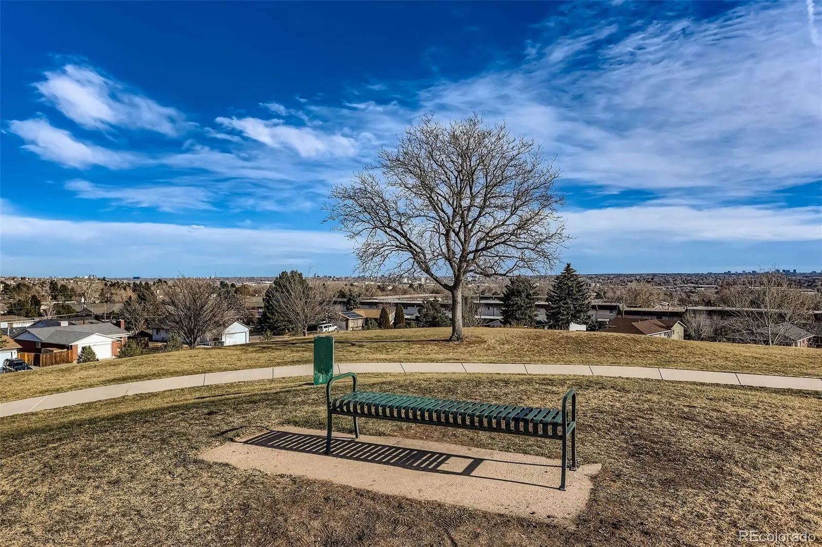 4264 W Radcliff Avenue Denver CO 80236 MLS #REC2569149 05142026230032 1600 41