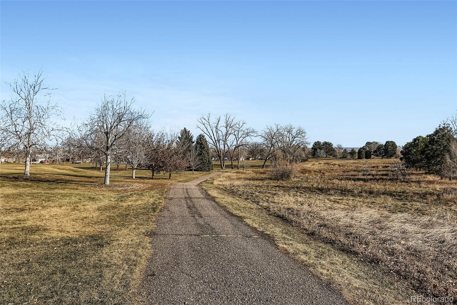 4264 W Radcliff Avenue Denver CO 80236 MLS #REC2569149 05142026230032 1600 42