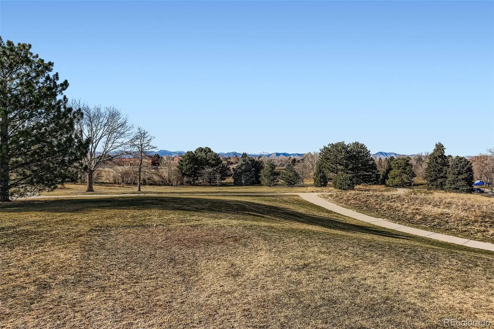 4264 W Radcliff Avenue Denver CO 80236 MLS #REC2569149 05142026230032 1600 43