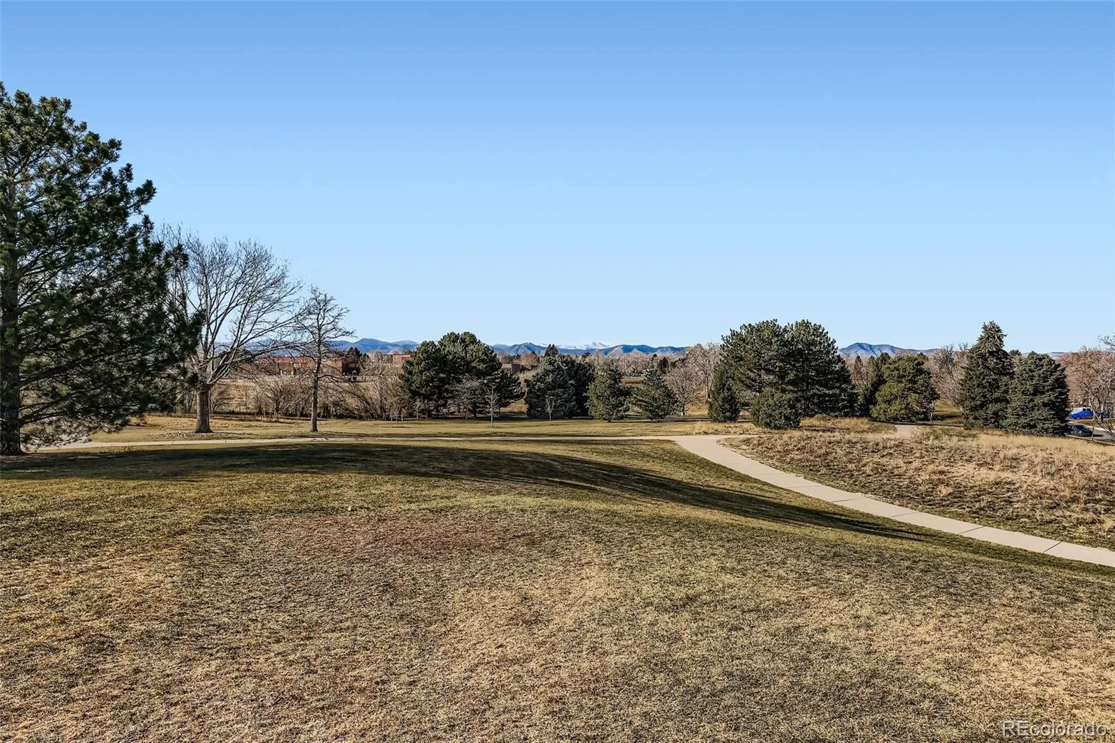 4264 W Radcliff Avenue Denver CO 80236 MLS #REC2569149 06012026185502 1600 43