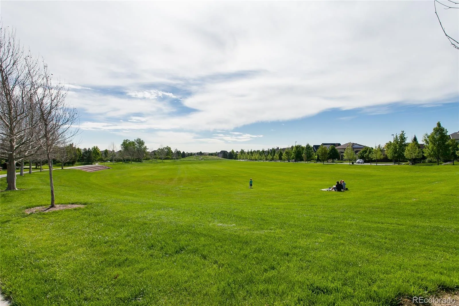 7873 E 8th Place Denver CO 80230 | MLS #REC2570510 07152026132252 1600 38