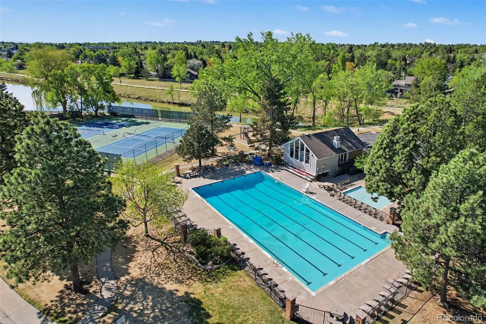 8174 W 81st Drive Arvada CO 80005 MLS #REC2572315 05132026205054 1600 35