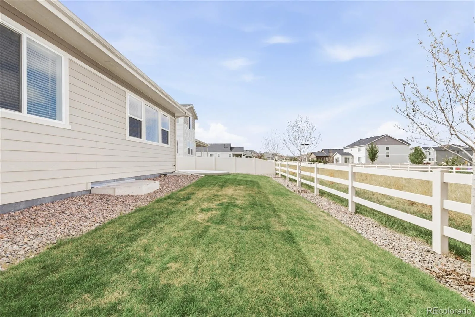 5679 Saddle Skirt Street Parker CO 80134 MLS #REC2584843 05022026051302 1600 38