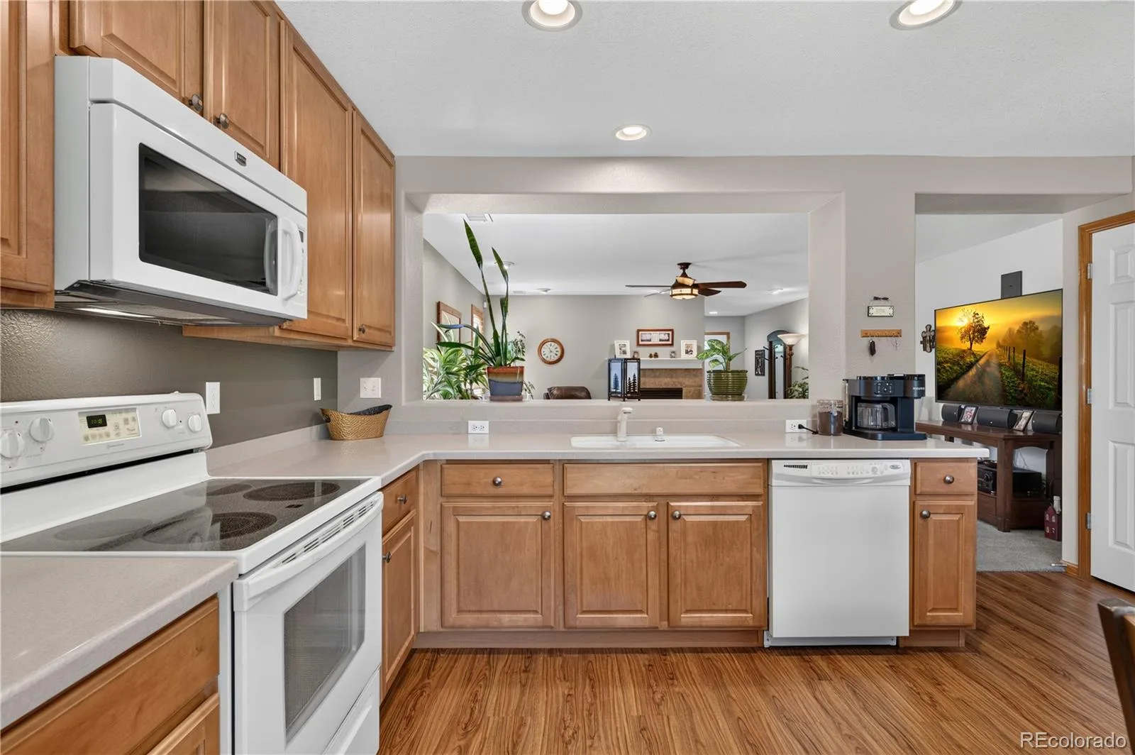 15895 Robins Drive Denver CO 80239 | MLS #REC2597336 08212026161132 1600 10