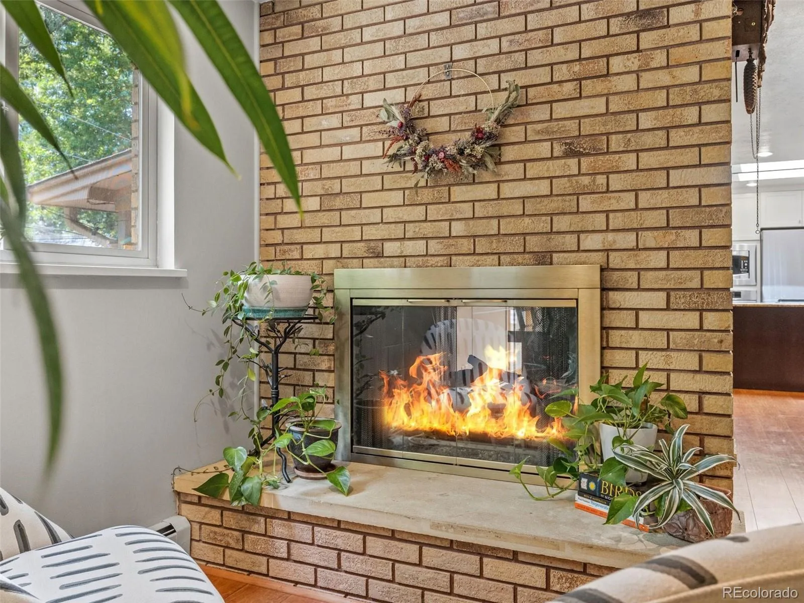 298 E 12th Avenue Broomfield CO 80020 MLS #REC2611459 05292026210628 1600 11