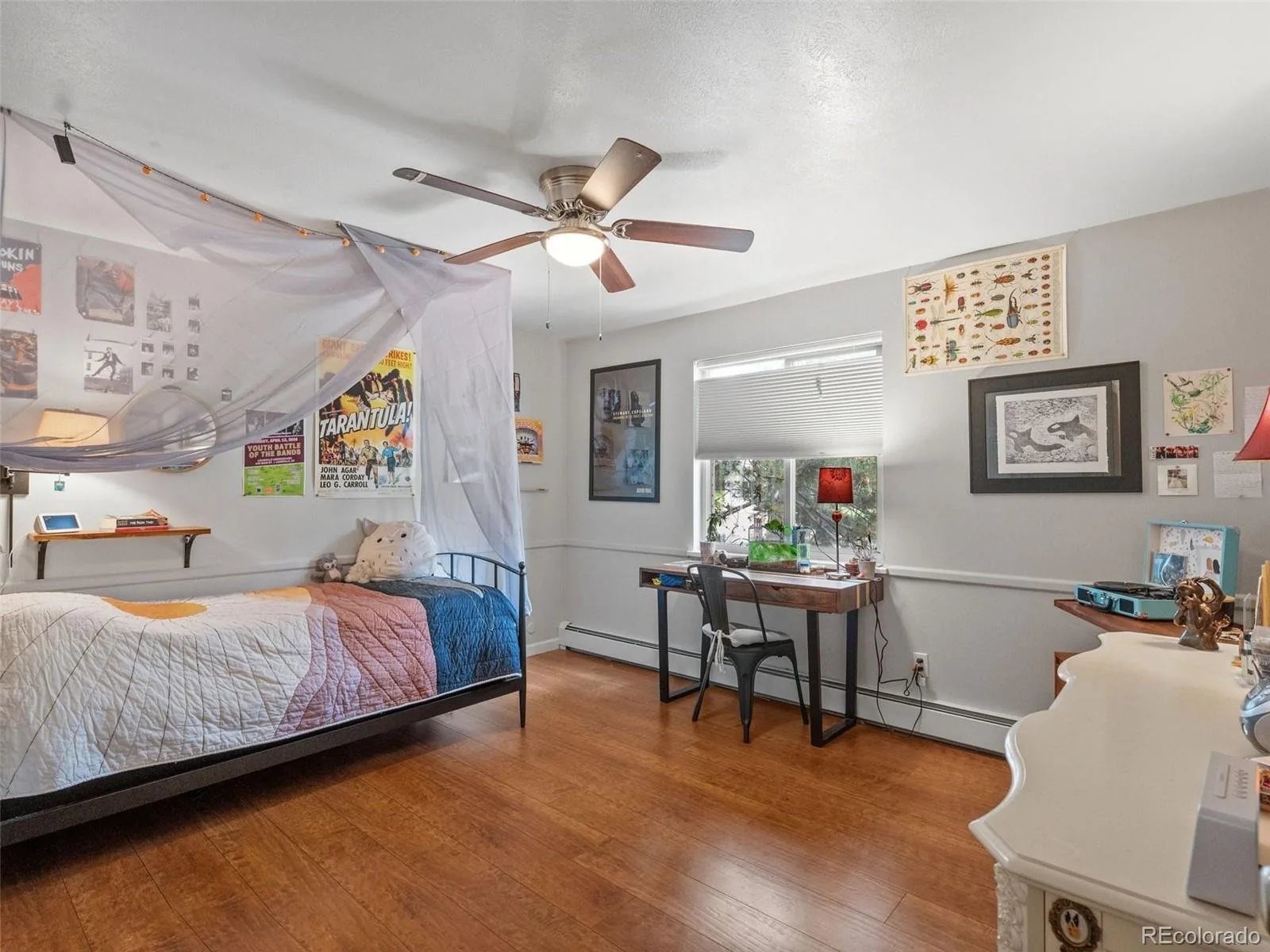 298 E 12th Avenue Broomfield CO 80020 MLS #REC2611459 05292026210628 1600 19