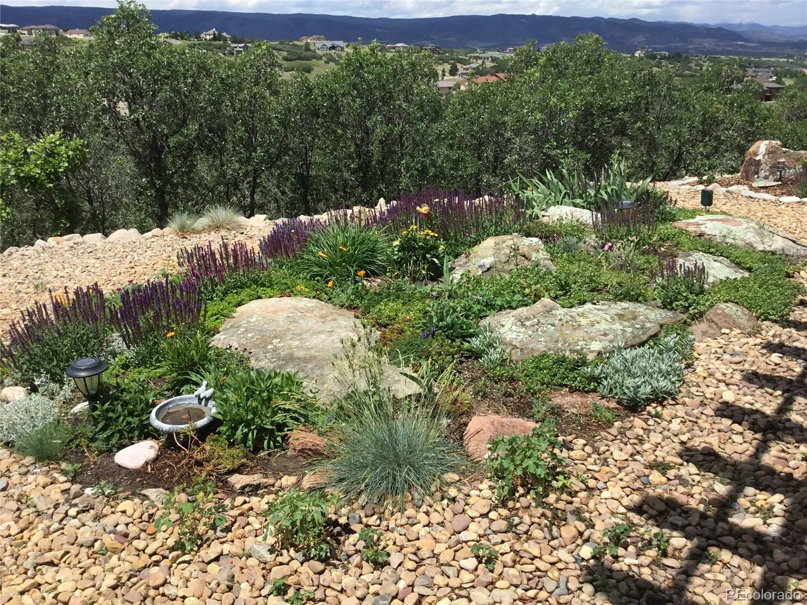 3521 Castle Butte Drive Castle Rock CO 80109 | MLS #REC2615774 08182026173527 1600 47