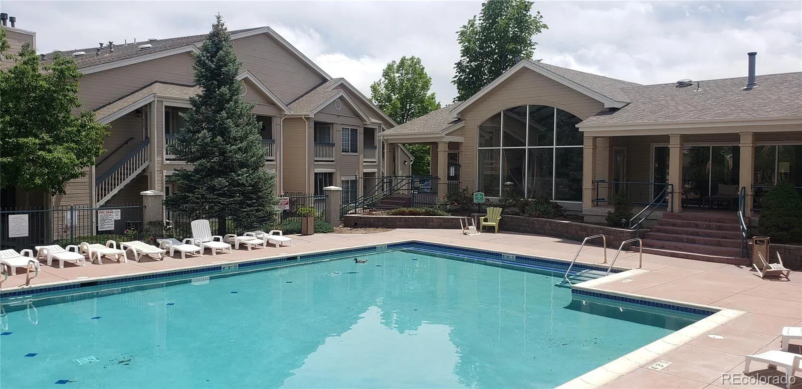 1010 Opal Street #204 Broomfield CO 80020 | MLS #REC2620960 06252026225637 1600 22