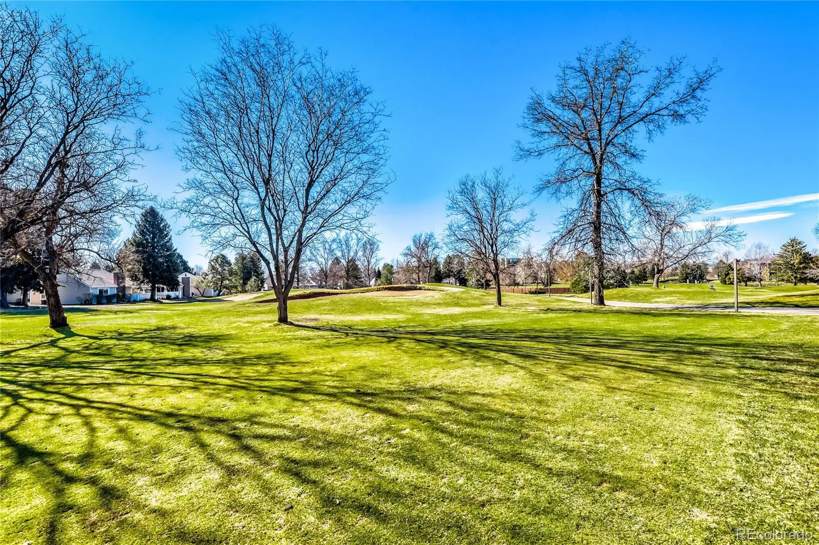 03232026174713 1600 27