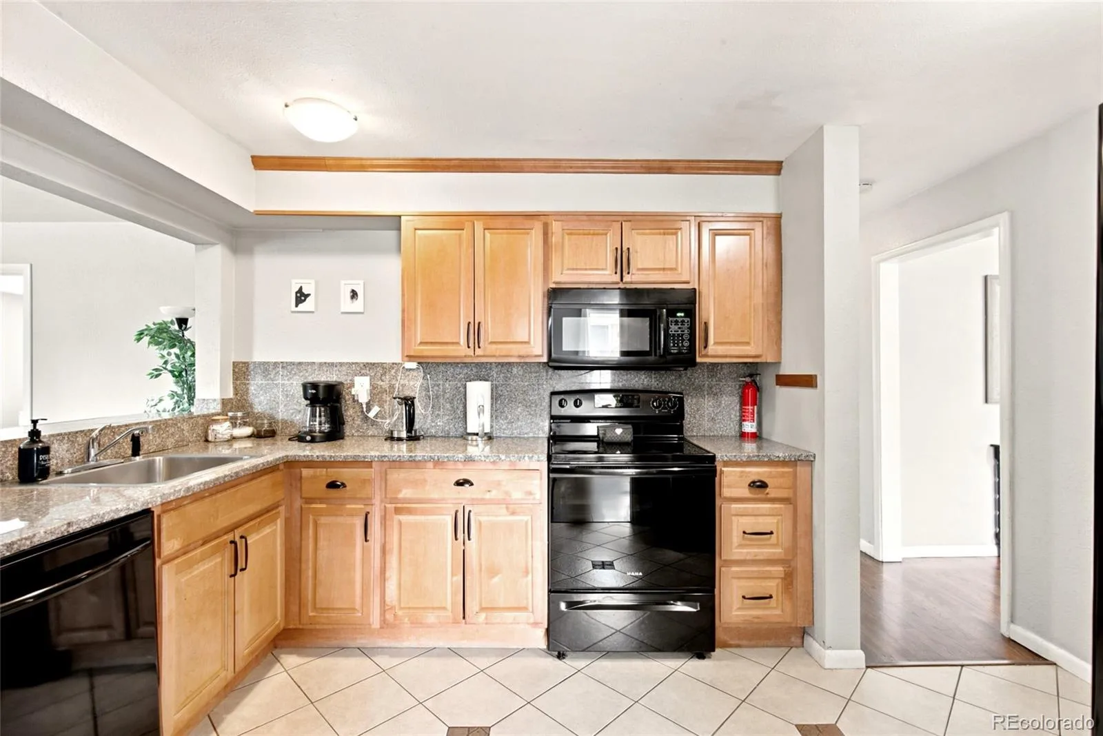 485 Zenobia Street Denver CO 80204 | MLS #REC2635227 07042026182903 1600 18