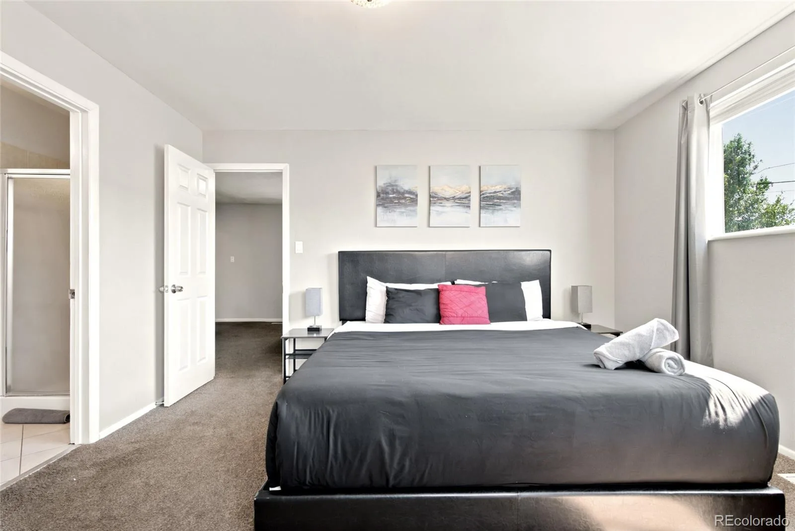 485 Zenobia Street Denver CO 80204 | MLS #REC2635227 07042026182903 1600 31