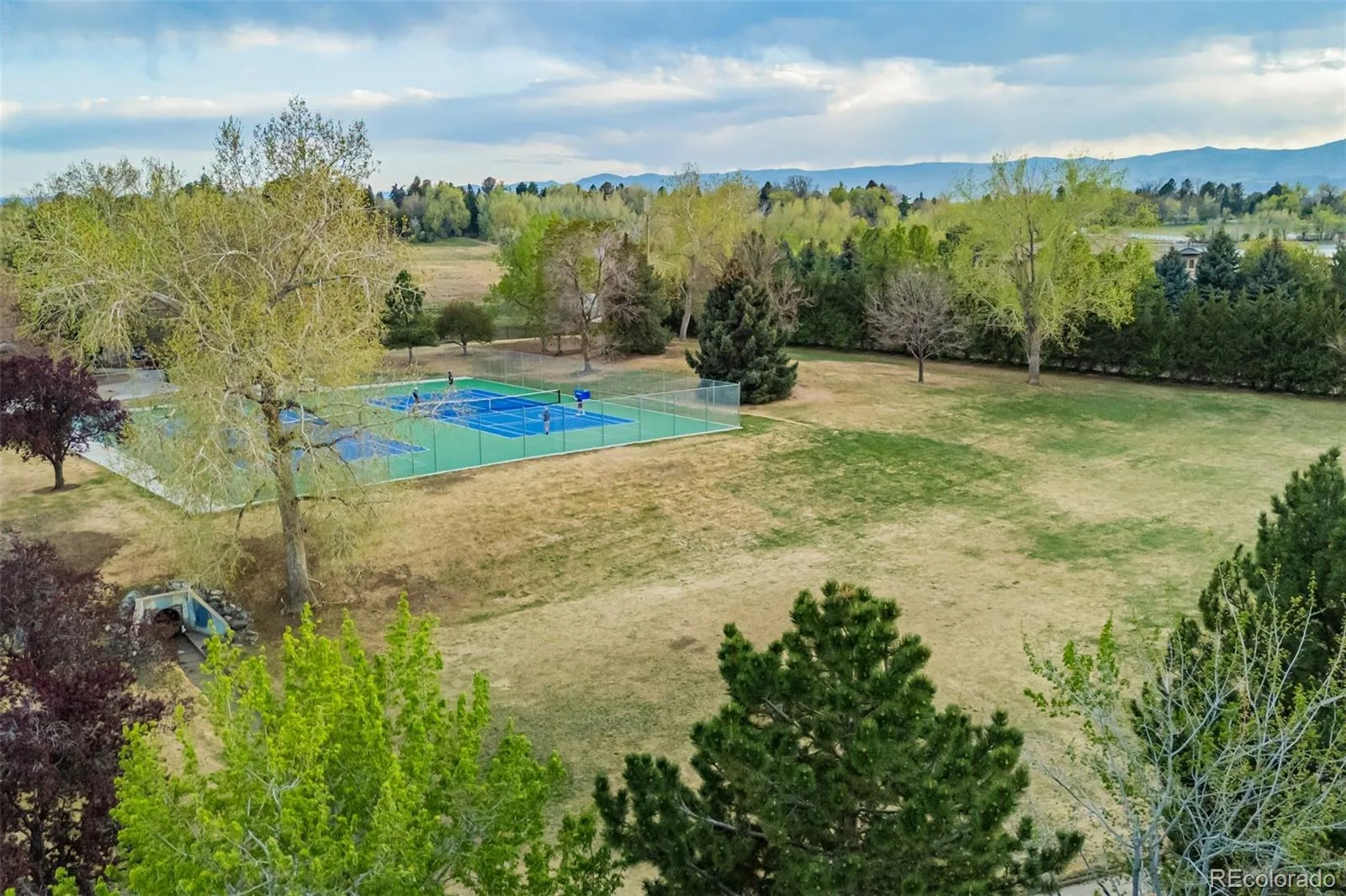 2464 S Fenton Drive Lakewood CO 80227 MLS #REC2635947 06092026014338 1600 43