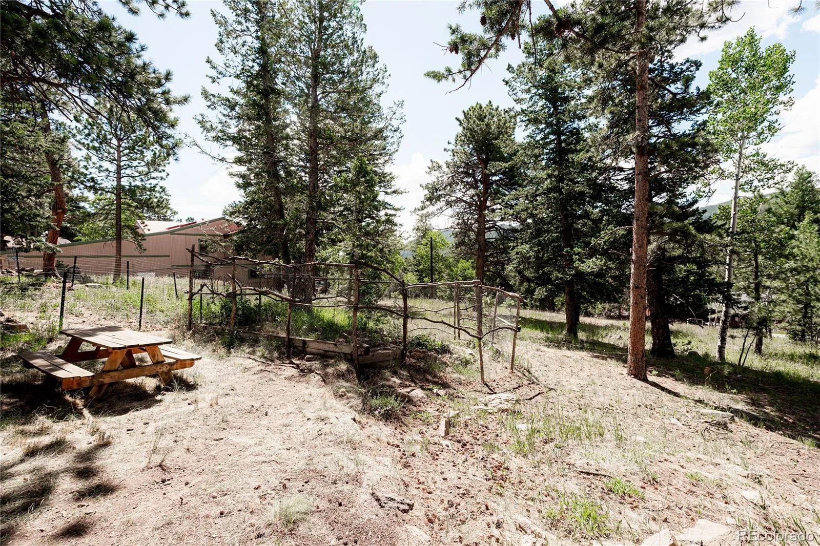 297 Circle Drive Evergreen CO 80439 | MLS #REC2638811 08052026232759 1600 34