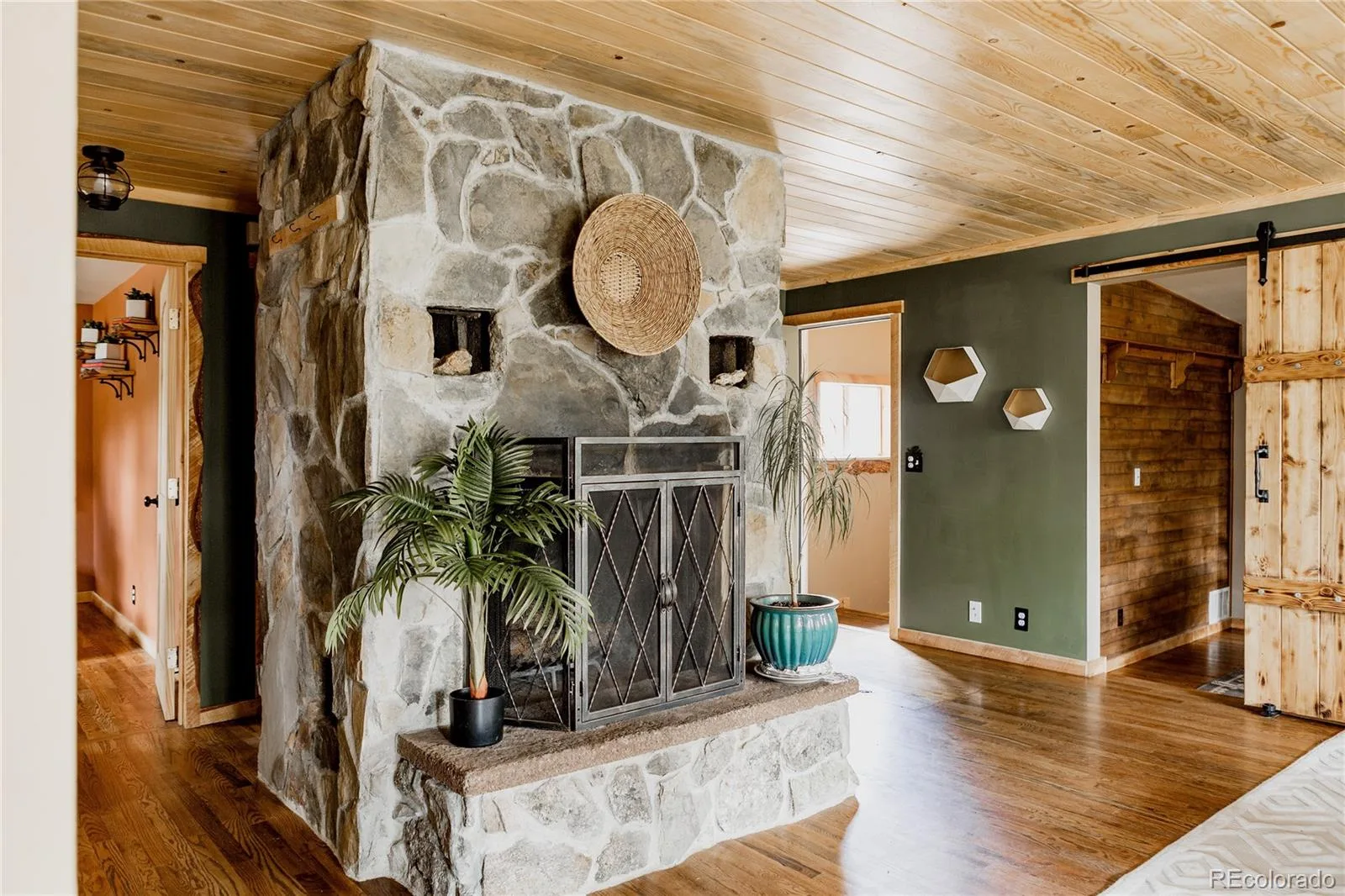 297 Circle Drive Evergreen CO 80439 | MLS #REC2638811 08052026232759 1600 8