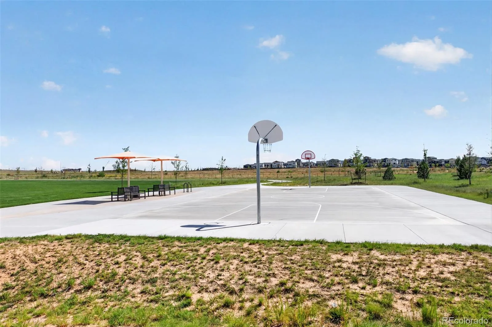 4403 N Picadilly Court Aurora CO 80019 | MLS #REC2640578 09252026011333 1600 47