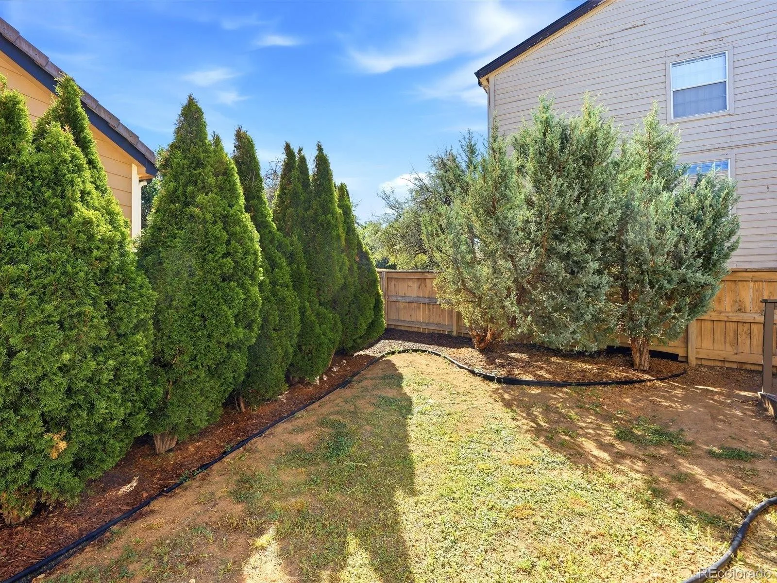 339 Ivory Circle Aurora CO 80011 | MLS #REC2643972 07312026234548 1600 38
