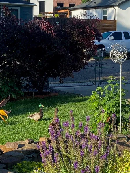 04202026234235 800 28