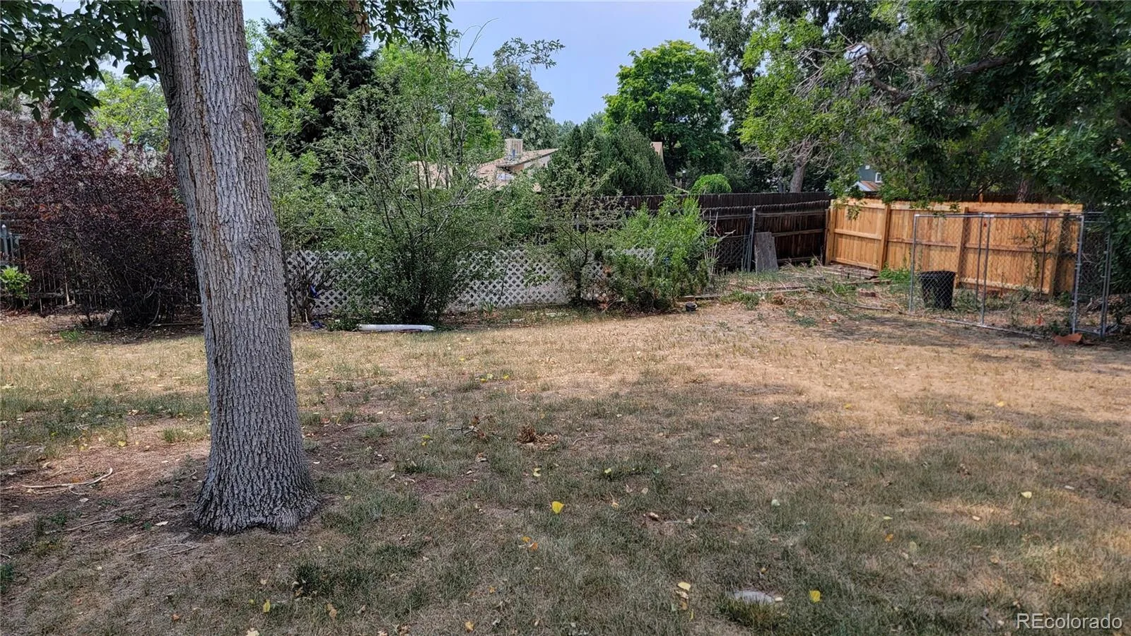 8443 Gray Court Arvada CO 80003 MLS #REC2655704 07132026203828 1600 4