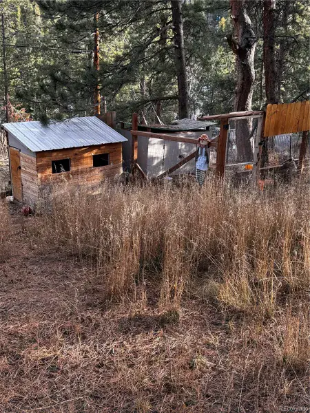 10627 Twin Spruce Road Golden CO 80403 | MLS #REC2661433 03052026224948 800 22