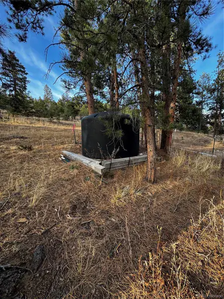 10627 Twin Spruce Road Golden CO 80403 | MLS #REC2661433 03052026224948 800 23