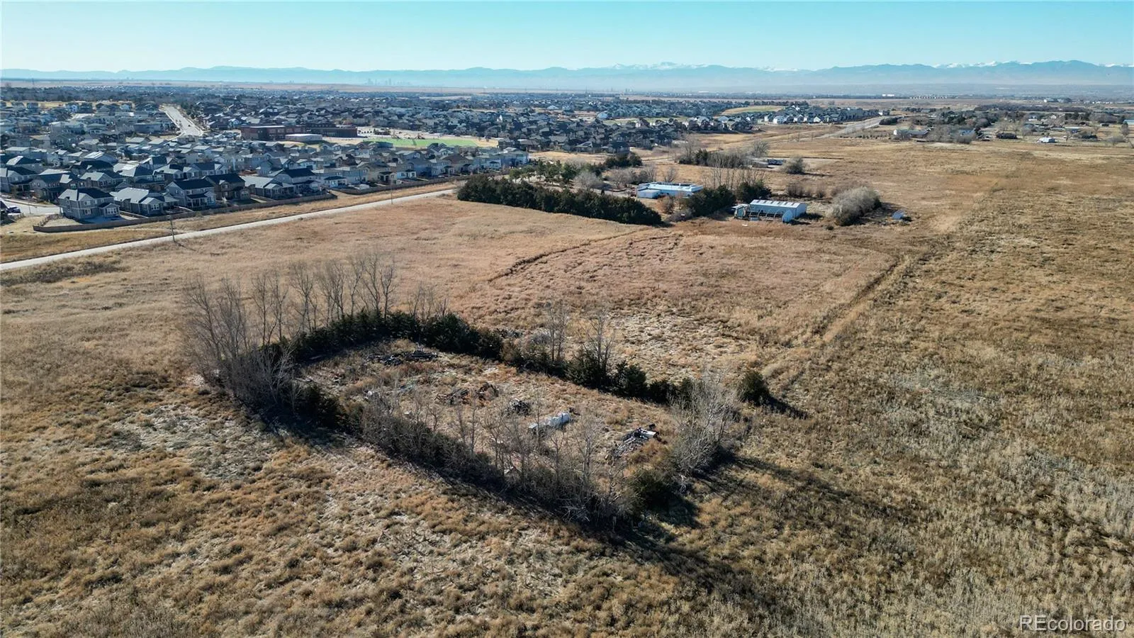 11246 Rifle B Street Commerce City CO 80022 | MLS #REC2662481 05062026213750 1600 10