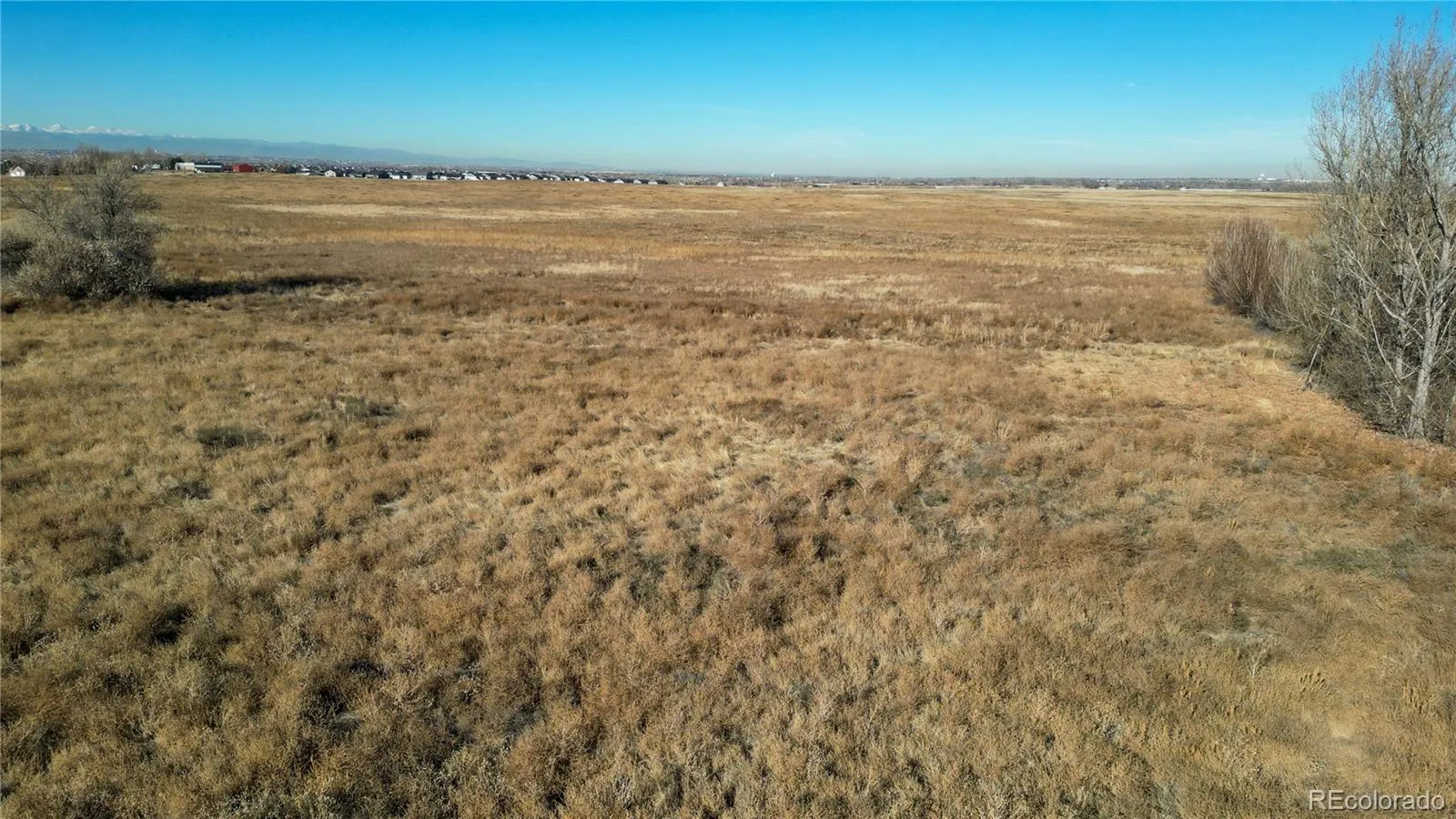 11246 Rifle B Street Commerce City CO 80022 | MLS #REC2662481 05062026213750 1600 12