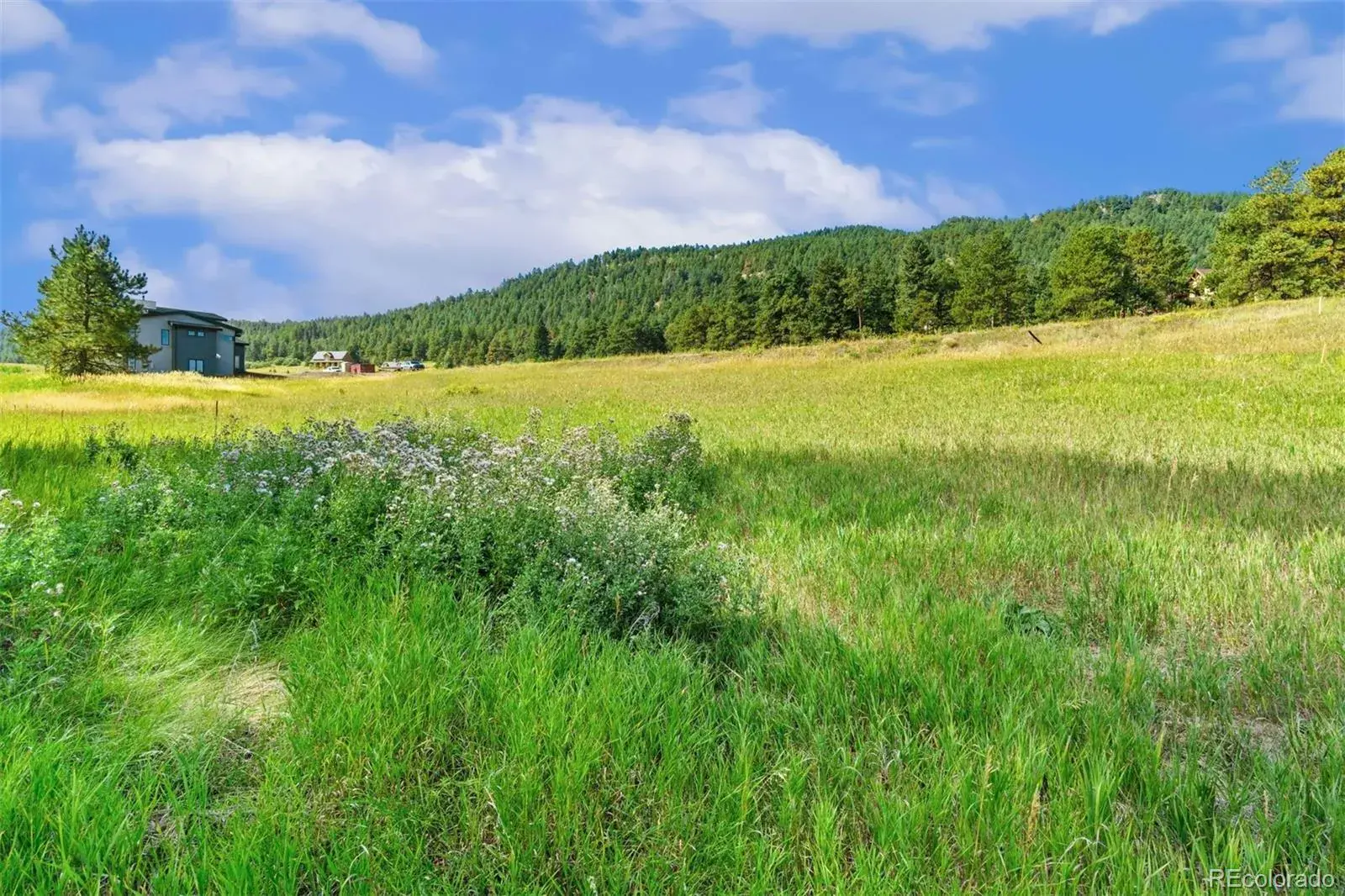 8066 Federation Drive Morrison CO 80465 | MLS #REC2679691 02192026203057 1600 10