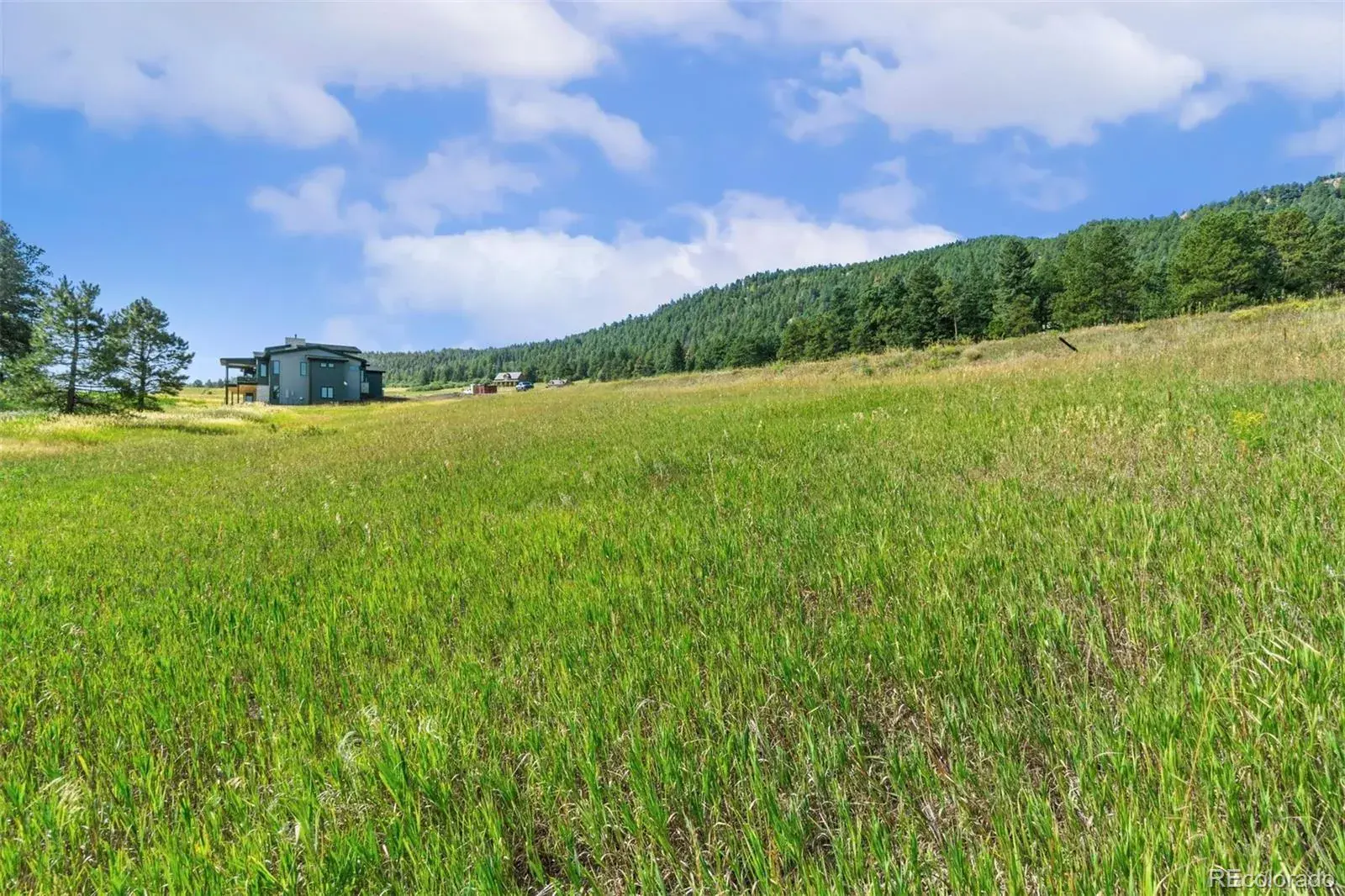 8066 Federation Drive Morrison CO 80465 | MLS #REC2679691 02192026203057 1600 11
