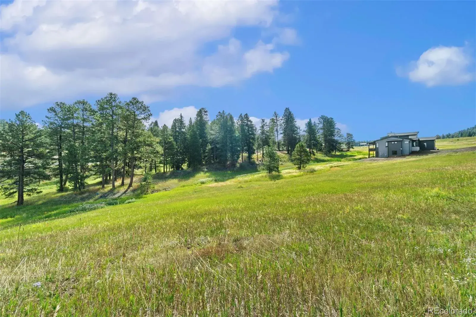 8066 Federation Drive Morrison CO 80465 | MLS #REC2679691 02192026203057 1600 12