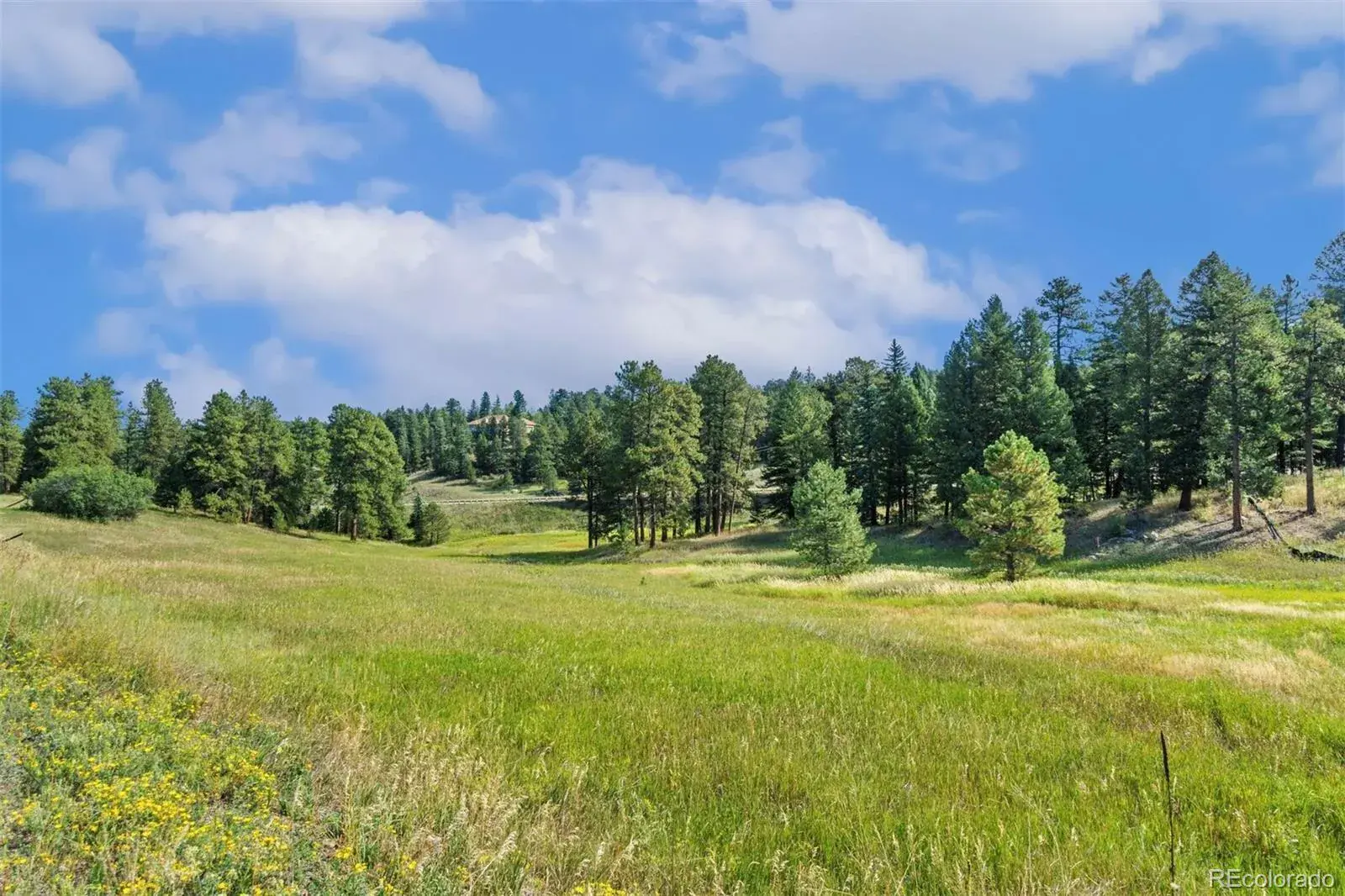 8066 Federation Drive Morrison CO 80465 | MLS #REC2679691 02192026203057 1600 13