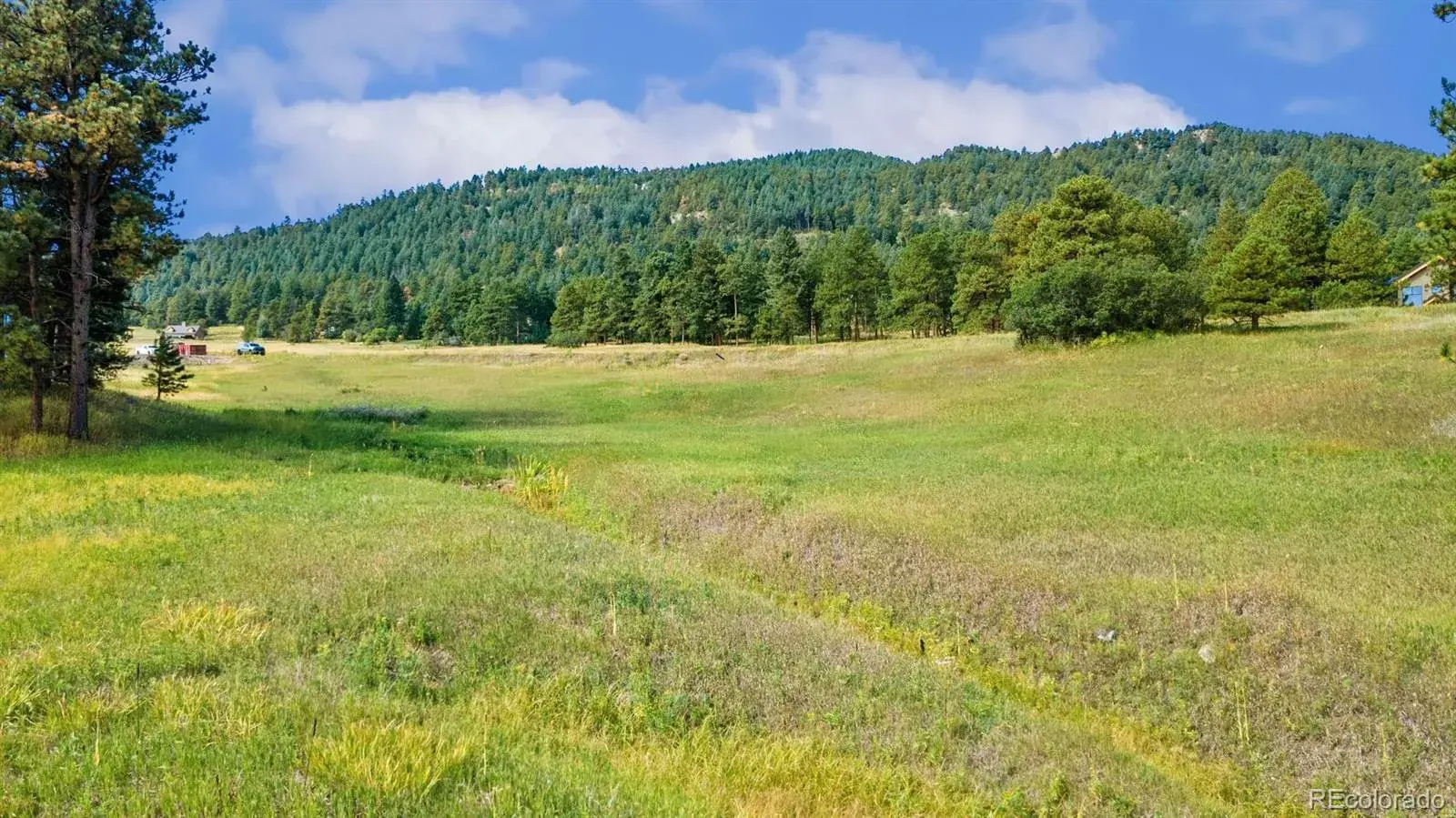8066 Federation Drive Morrison CO 80465 | MLS #REC2679691 02192026203057 1600 8