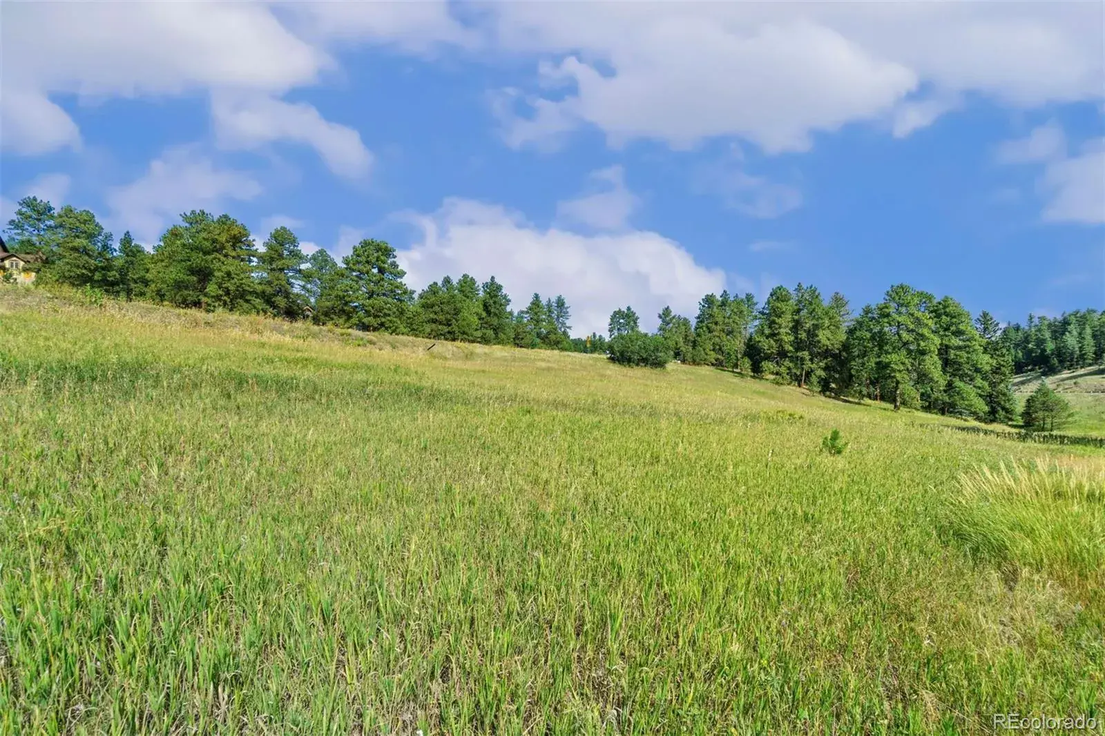 8066 Federation Drive Morrison CO 80465 | MLS #REC2679691 02192026203057 1600 9