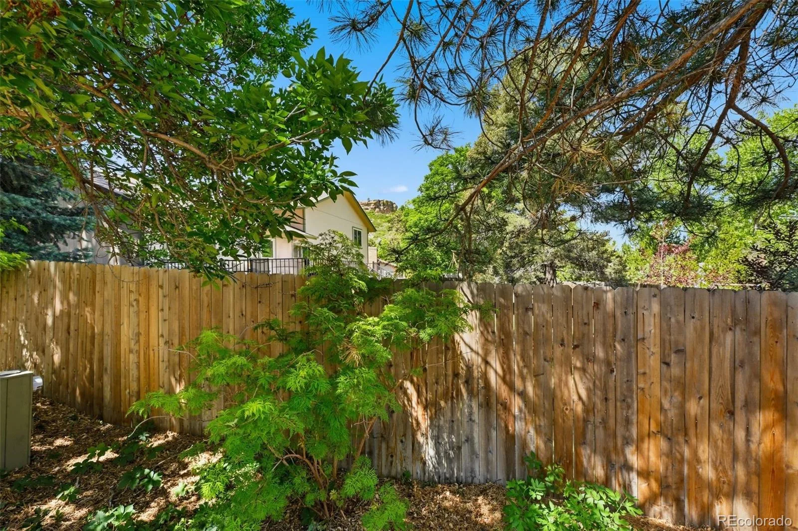 927 Oakwood Drive Castle Rock CO 80104 | MLS #REC2686388 06182026185045 1600 45