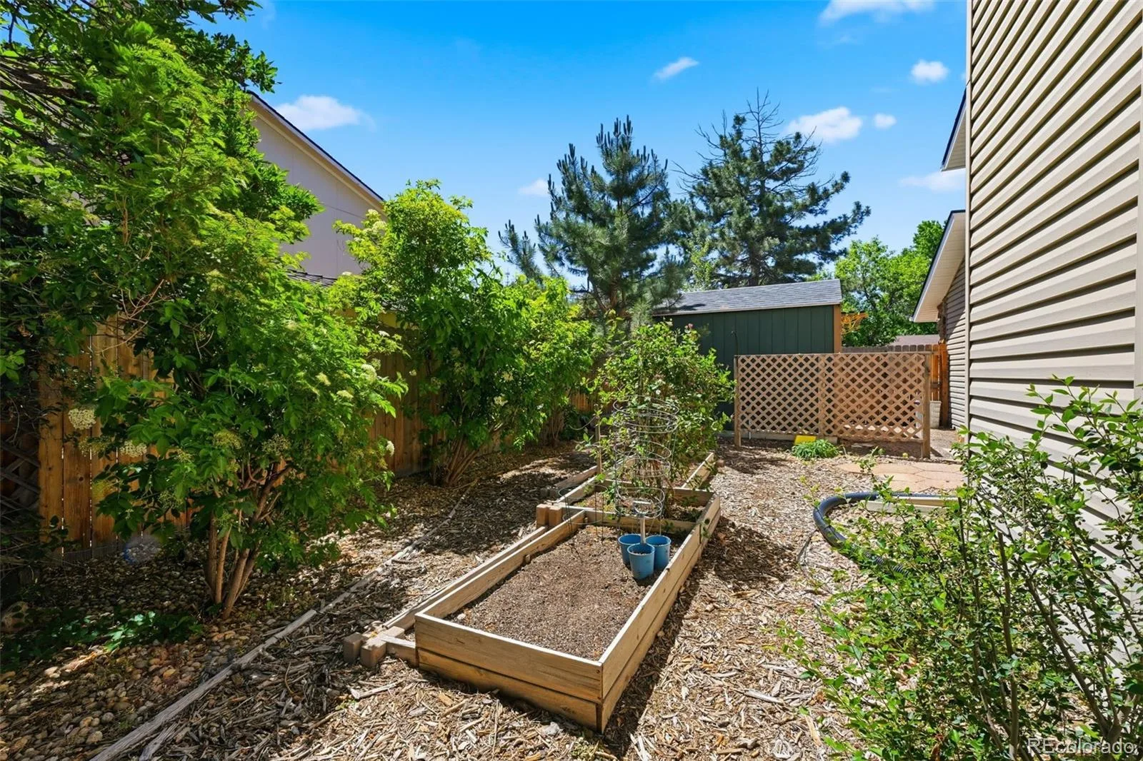 927 Oakwood Drive Castle Rock CO 80104 | MLS #REC2686388 06182026185045 1600 47