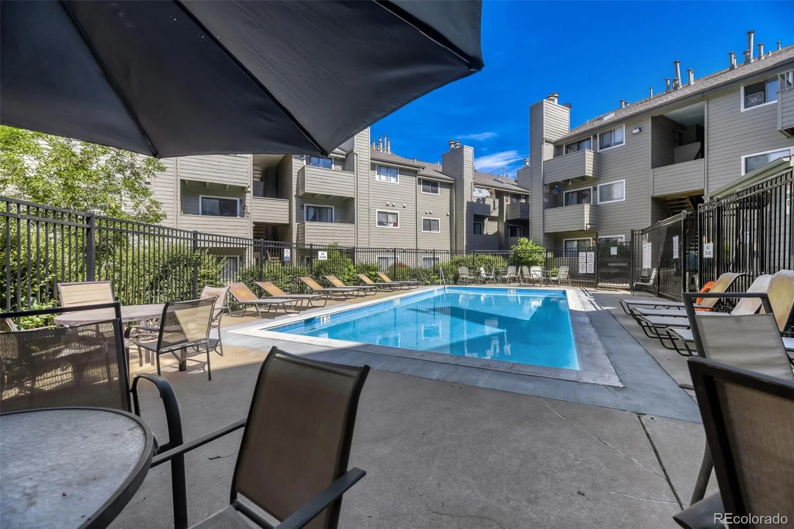 3100 S Federal Boulevard #320 Denver CO 80236 | MLS #REC2695318 07292026221035 1600 15