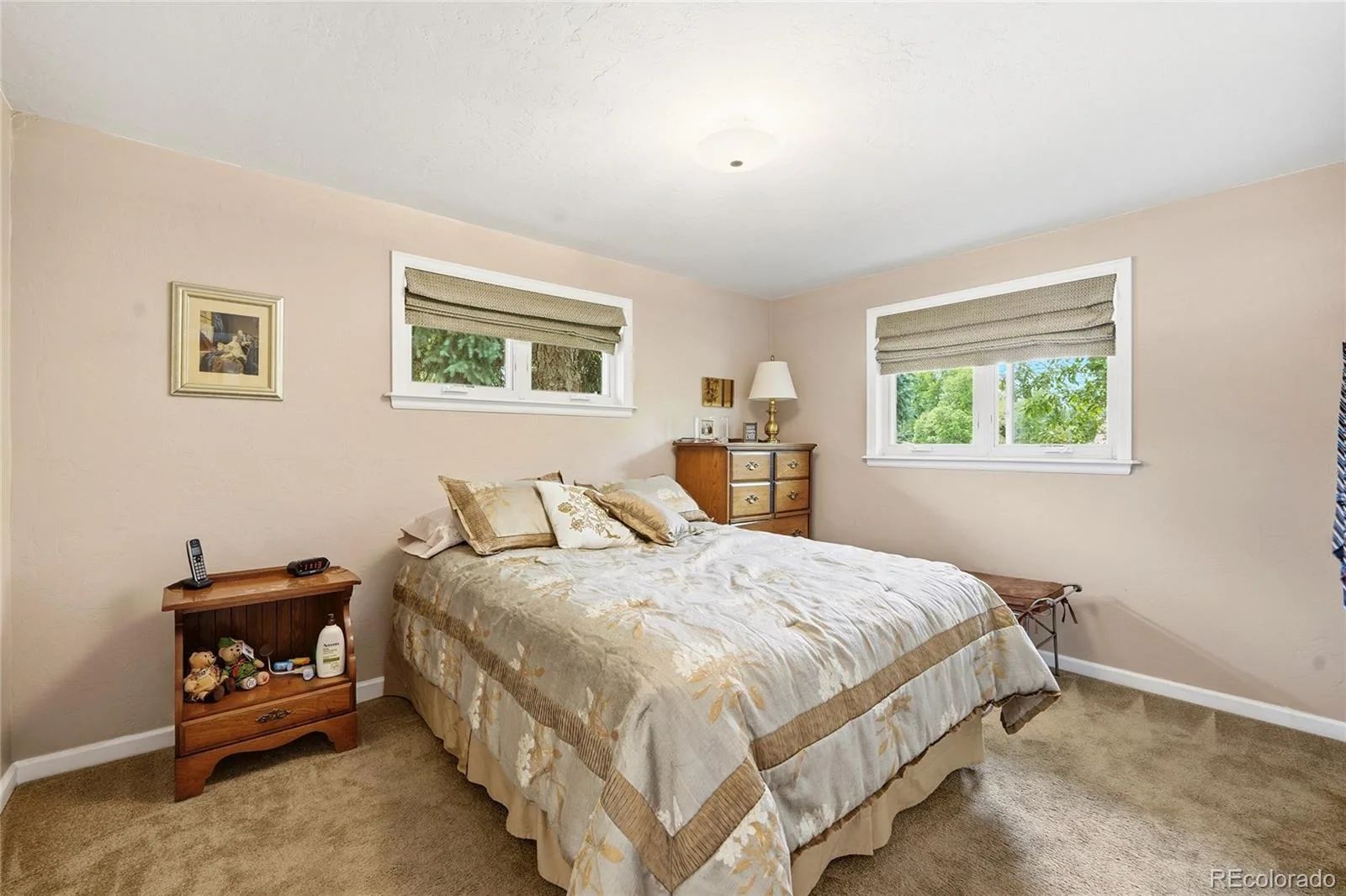 6573 S Steele Street Centennial CO 80121 MLS #REC2709701 05292026154052 1600 12