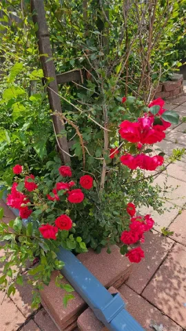 03132026201248 640 21