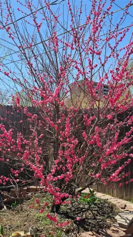 03132026201248 640 22