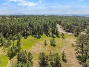 1133 Tomichi Drive Franktown CO 80116 | MLS #REC2715382 03052025080700 300 0